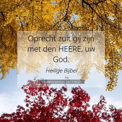 Picture 07 - Deuteronomium 18:13 NLD - Oprecht zult gij zijn met den HEERE, uw - Bible Verse Picture