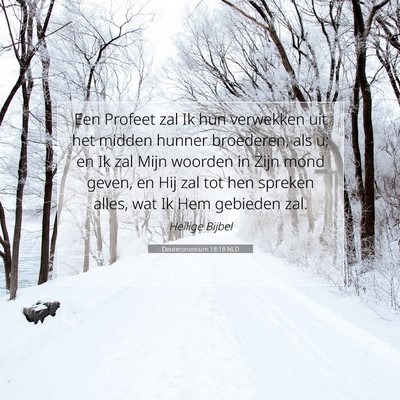 Picture 07 - Deuteronomium 18:18 NLD - Een Profeet zal Ik hun verwekken uit het midden - Bible Verse Picture