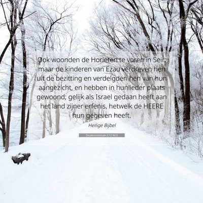 Picture 07 - Deuteronomium 2:12 NLD - Ook woonden de Horieten te voren in Seir; maar de - Bible Verse Picture
