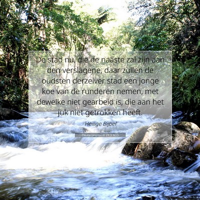 Picture 07 - Deuteronomium 21:3 NLD - De stad nu, die de naaste zal zijn aan den - Bible Verse Picture