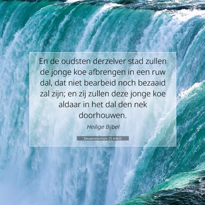 Picture 07 - Deuteronomium 21:4 NLD - En de oudsten derzelver stad zullen de jonge koe - Bible Verse Picture