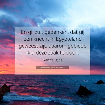 Picture 07 - Deuteronomium 24:22 NLD - En gij zult gedenken, dat gij een knecht in - Bible Verse Picture
