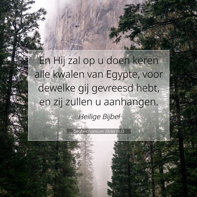Picture 07 - Deuteronomium 28:60 NLD - En Hij zal op u doen keren alle kwalen van - Bible Verse Picture