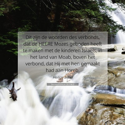 Picture 07 - Deuteronomium 29:1 NLD - Dit zijn de woorden des verbonds, dat de HEERE - Bible Verse Picture