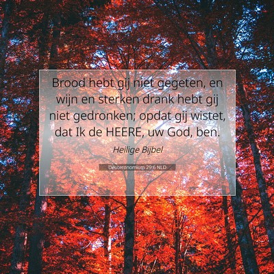 Picture 07 - Deuteronomium 29:6 NLD - Brood hebt gij niet gegeten, en wijn en sterken - Bible Verse Picture