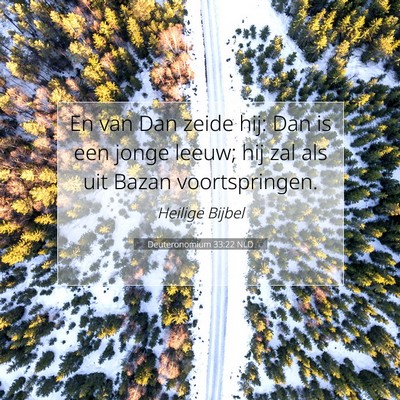 Picture 07 - Deuteronomium 33:22 NLD - En van Dan zeide hij: Dan is een jonge leeuw; hij - Bible Verse Picture