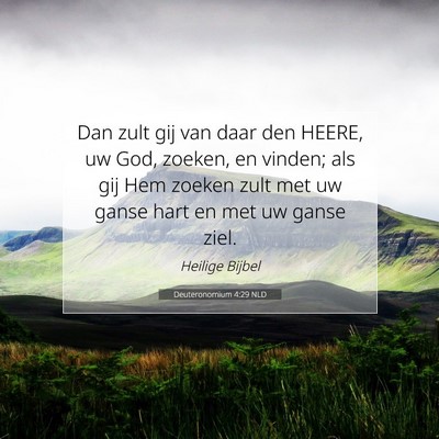 Picture 07 - Deuteronomium 4:29 NLD - Dan zult gij van daar den HEERE, uw God, zoeken, - Bible Verse Picture