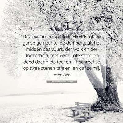 Picture 07 - Deuteronomium 5:22 NLD - Deze woorden sprak de HEERE tot uw ganse - Bible Verse Picture