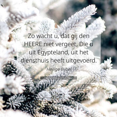 Picture 07 - Deuteronomium 6:12 NLD - Zo wacht u, dat gij den HEERE niet vergeet, Die u - Bible Verse Picture