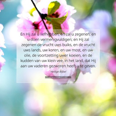 Picture 07 - Deuteronomium 7:13 NLD - En Hij zal u liefhebben, en zal u zegenen, en u - Bible Verse Picture