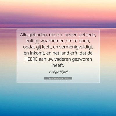 Picture 07 - Deuteronomium 8:1 NLD - Alle geboden, die ik u heden gebiede, zult gij - Bible Verse Picture