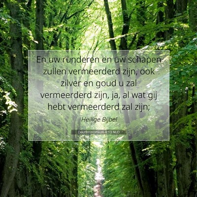 Picture 07 - Deuteronomium 8:13 NLD - En uw runderen en uw schapen zullen vermeerderd - Bible Verse Picture