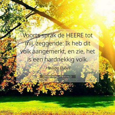 Picture 07 - Deuteronomium 9:13 NLD - Voorts sprak de HEERE tot mij, zeggende: Ik heb - Bible Verse Picture