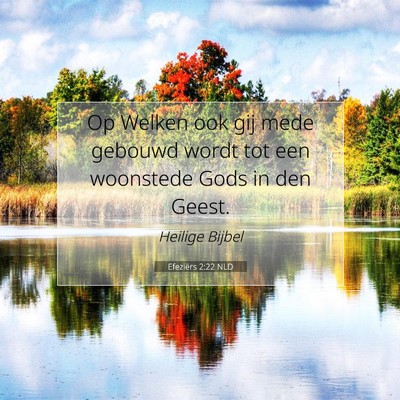 Picture 07 - Efeziërs 2:22 NLD - Op Welken ook gij mede gebouwd wordt tot een - Bible Verse Picture