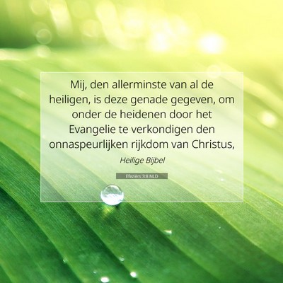 Picture 07 - Efeziërs 3:8 NLD - Mij, den allerminste van al de heiligen, is deze - Bible Verse Picture