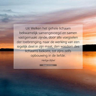Picture 07 - Efeziërs 4:16 NLD - Uit Welken het gehele lichaam bekwamelijk - Bible Verse Picture
