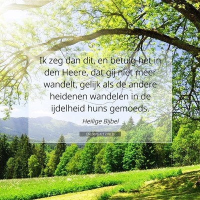 Picture 07 - Efeziërs 4:17 NLD - Ik zeg dan dit, en betuig het in den Heere, dat - Bible Verse Picture