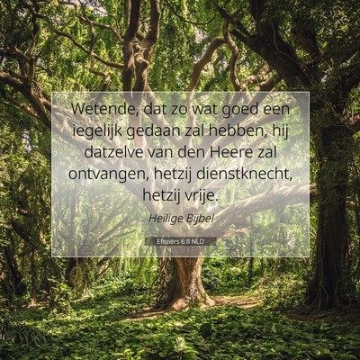 Picture 07 - Efeziërs 6:8 NLD - Wetende, dat zo wat goed een iegelijk gedaan zal - Bible Verse Picture