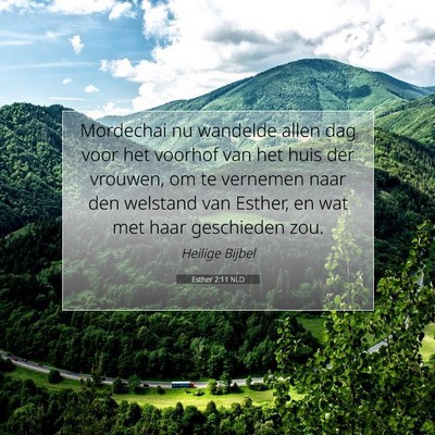 Picture 07 - Esther 2:11 NLD - Mordechai nu wandelde allen dag voor het voorhof - Bible Verse Picture