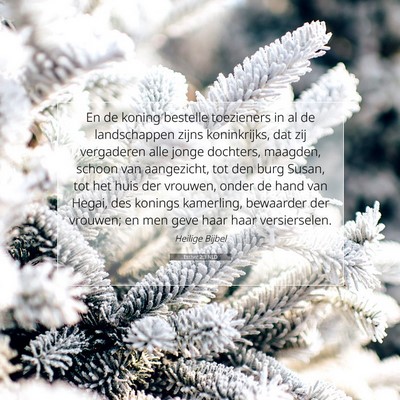 Picture 07 - Esther 2:3 NLD - En de koning bestelle toezieners in al de - Bible Verse Picture