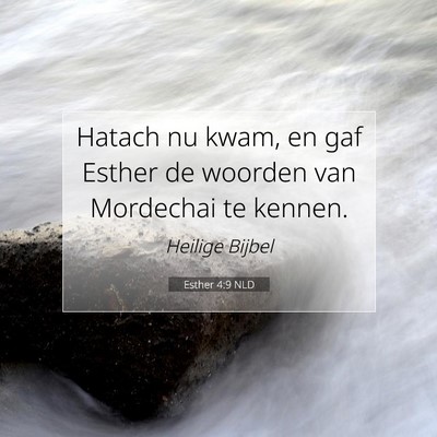 Picture 07 - Esther 4:9 NLD - Hatach nu kwam, en gaf Esther de woorden van - Bible Verse Picture