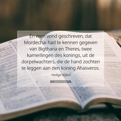Picture 07 - Esther 6:2 NLD - En men vond geschreven, dat Mordechai had te - Bible Verse Picture