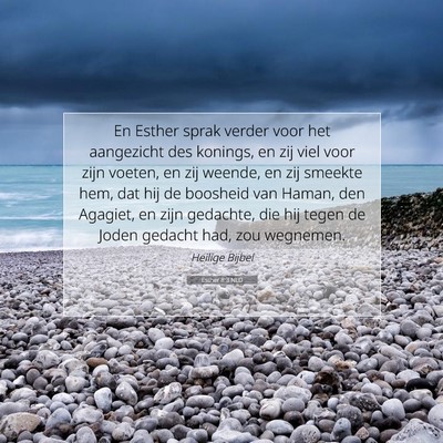 Picture 07 - Esther 8:3 NLD - En Esther sprak verder voor het aangezicht des - Bible Verse Picture
