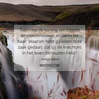Picture 07 - Exodus 1:18 NLD - Toen riep de koning van Egypte de vroedvrouwen, - Bible Verse Picture