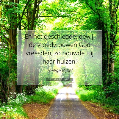 Picture 07 - Exodus 1:21 NLD - En het geschiedde, dewijl de vroedvrouwen God - Bible Verse Picture
