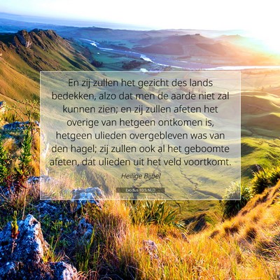 Picture 07 - Exodus 10:5 NLD - En zij zullen het gezicht des lands bedekken, - Bible Verse Picture