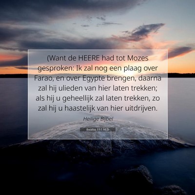 Picture 07 - Exodus 11:1 NLD - (Want de HEERE had tot Mozes gesproken: Ik zal - Bible Verse Picture