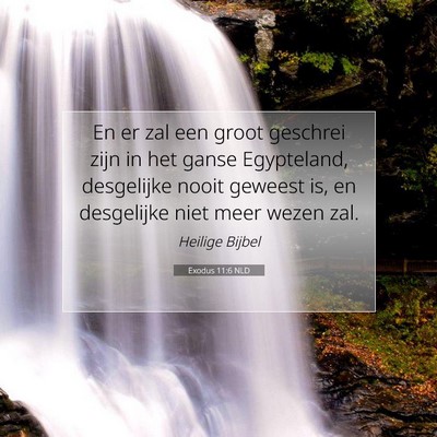 Picture 07 - Exodus 11:6 NLD - En er zal een groot geschrei zijn in het ganse - Bible Verse Picture