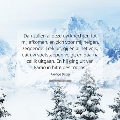 Picture 07 - Exodus 11:8 NLD - Dan zullen al deze uw knechten tot mij afkomen, - Bible Verse Picture
