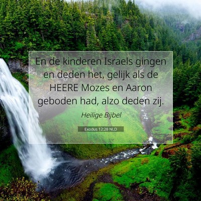 Picture 07 - Exodus 12:28 NLD - En de kinderen Israels gingen en deden het, - Bible Verse Picture