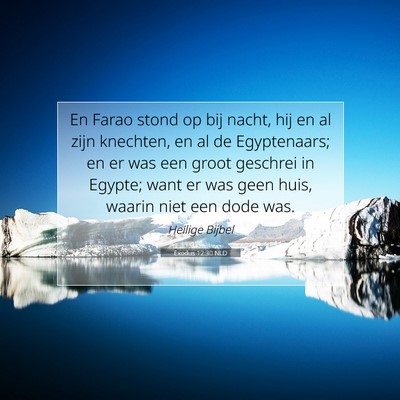 Picture 07 - Exodus 12:30 NLD - En Farao stond op bij nacht, hij en al zijn - Bible Verse Picture