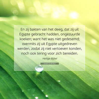Picture 07 - Exodus 12:39 NLD - En zij bakten van het deeg, dat zij uit Egypte - Bible Verse Picture