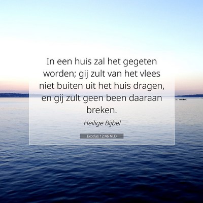 Picture 07 - Exodus 12:46 NLD - In een huis zal het gegeten worden; gij zult van - Bible Verse Picture