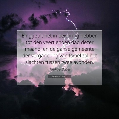 Picture 07 - Exodus 12:6 NLD - En gij zult het in bewaring hebben tot den - Bible Verse Picture