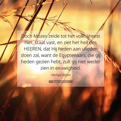 Picture 07 - Exodus 14:13 NLD - Doch Mozes zeide tot het volk: Vreest niet, staat - Bible Verse Picture