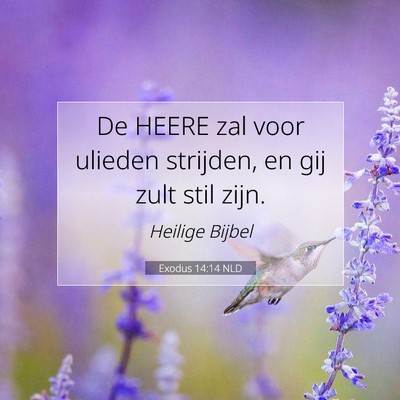 Picture 07 - Exodus 14:14 NLD - De HEERE zal voor ulieden strijden, en gij zult - Bible Verse Picture
