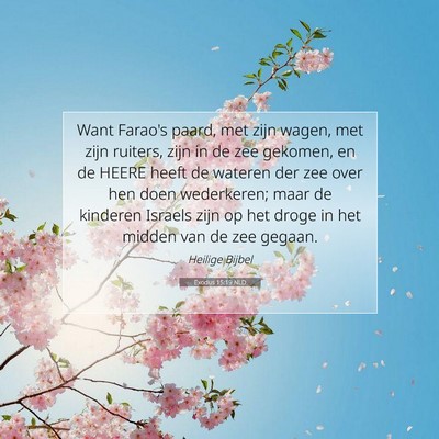 Picture 07 - Exodus 15:19 NLD - Want Farao's paard, met zijn wagen, met zijn - Bible Verse Picture