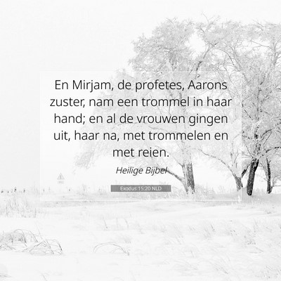 Picture 07 - Exodus 15:20 NLD - En Mirjam, de profetes, Aarons zuster, nam een - Bible Verse Picture