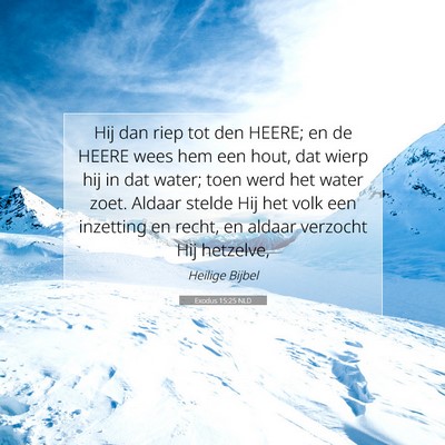 Picture 07 - Exodus 15:25 NLD - Hij dan riep tot den HEERE; en de HEERE wees hem - Bible Verse Picture