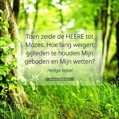 Picture 07 - Exodus 16:28 NLD - Toen zeide de HEERE tot Mozes: Hoe lang weigert - Bible Verse Picture