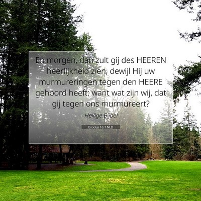 Picture 07 - Exodus 16:7 NLD - En morgen, dan zult gij des HEEREN heerlijkheid - Bible Verse Picture