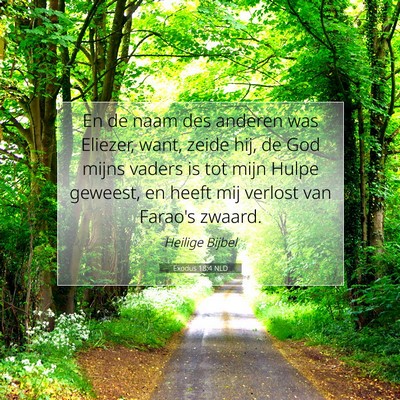 Picture 07 - Exodus 18:4 NLD - En de naam des anderen was Eliezer, want, zeide - Bible Verse Picture