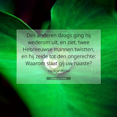 Picture 07 - Exodus 2:13 NLD - Des anderen daags ging hij wederom uit, en ziet, - Bible Verse Picture