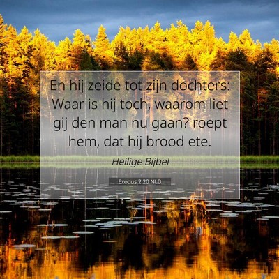 Picture 07 - Exodus 2:20 NLD - En hij zeide tot zijn dochters: Waar is hij toch, - Bible Verse Picture