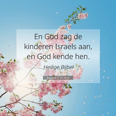 Picture 07 - Exodus 2:25 NLD - En God zag de kinderen Israels aan, en God kende - Bible Verse Picture