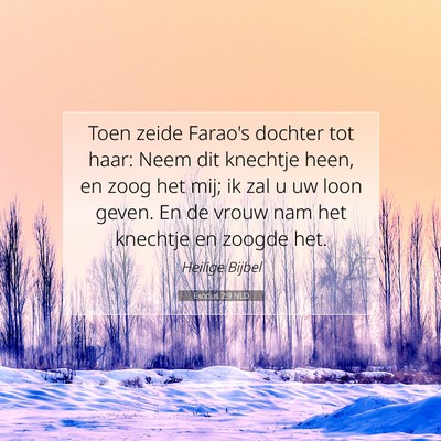 Picture 07 - Exodus 2:9 NLD - Toen zeide Farao's dochter tot haar: Neem dit - Bible Verse Picture